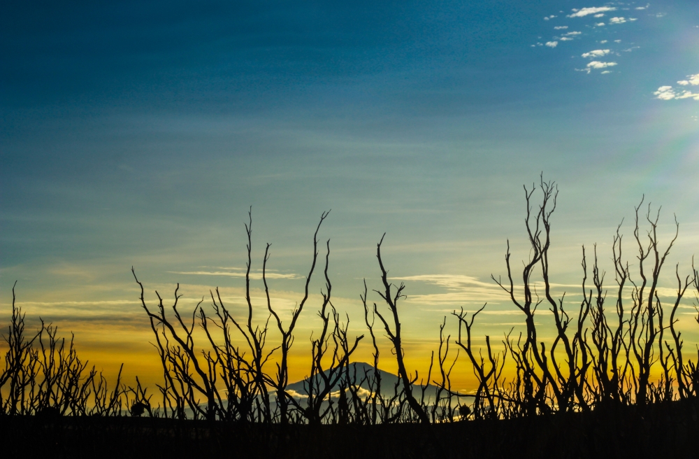 Gunung Papandayan